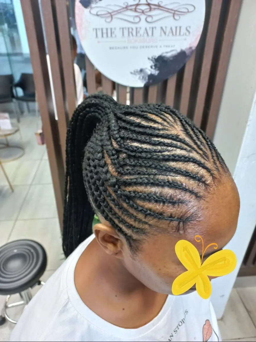 Braids hairstyle example